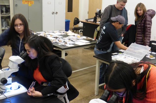 Group of students in a classroom looking at objects and looking into microscopes