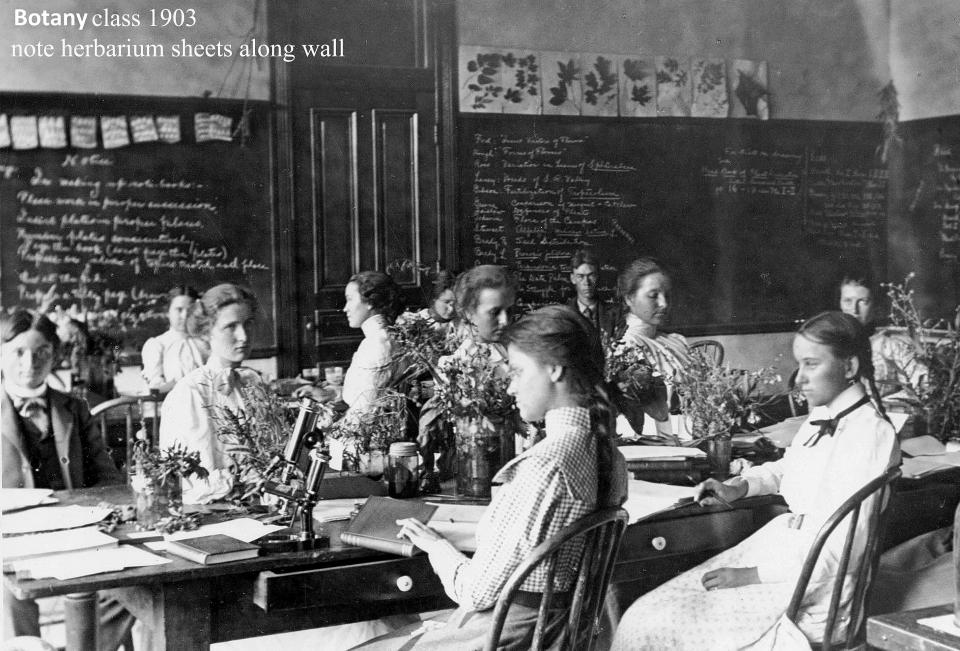 A Fred Irish Botany class in 1903 - studying the Arizona flora