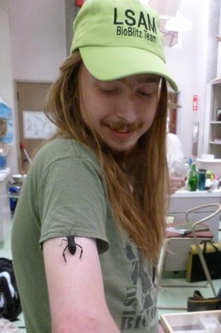 Young man with long hair and green hat looking at bug crawling on his arm