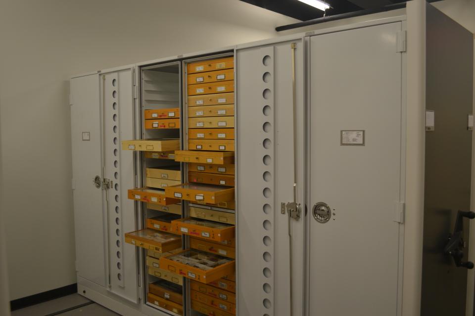 The research collection of insects at ASU documents biodiversity, gray and orange cabinets