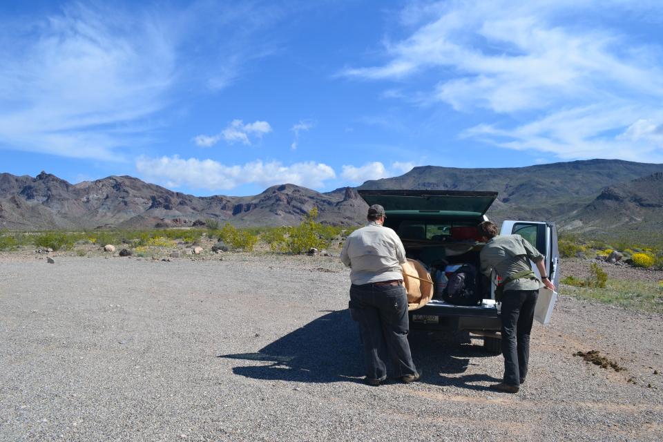 ASU researchers collecting insects in the Mohave Desert with blue sky and clouds