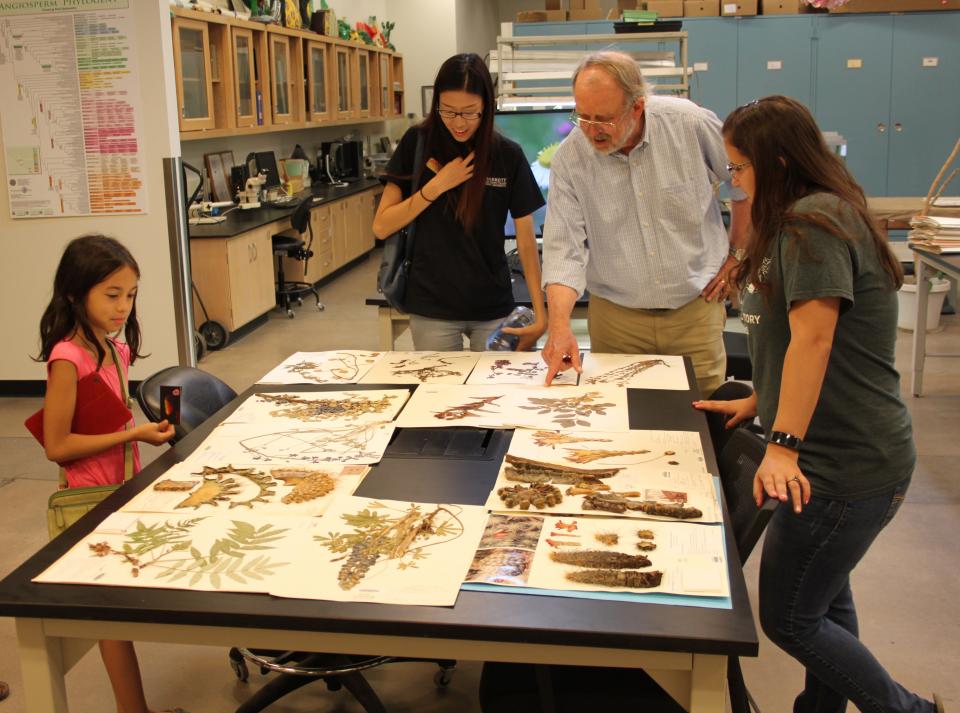 Faculty and visitors standing around a table with dried plants