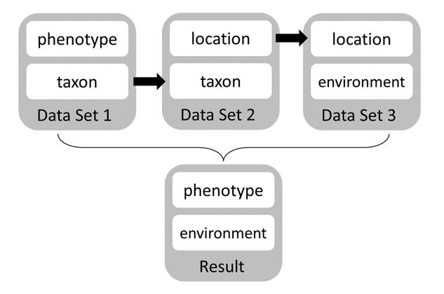 Diagram of phenotypes with data sets and result