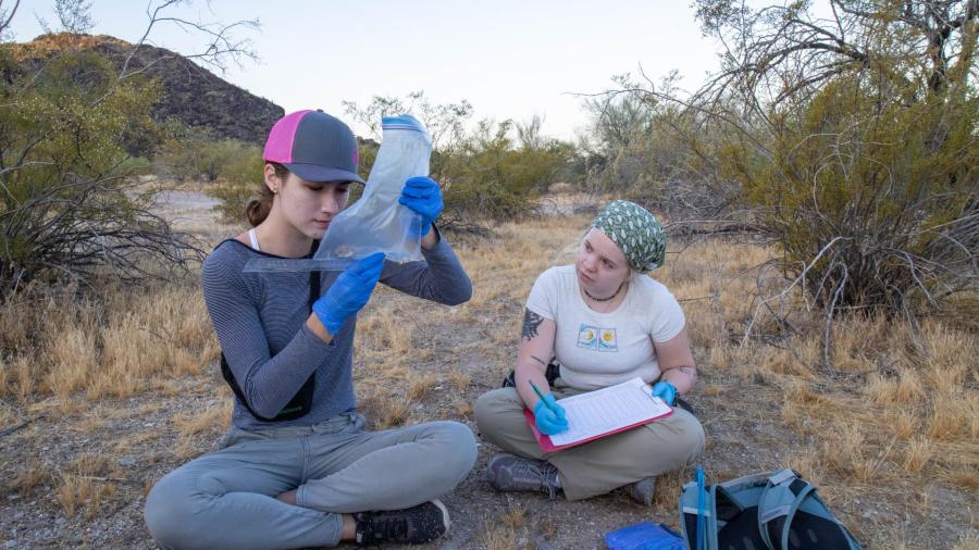 Two young women collecting data on trapped rodents in the Bighorn Mountains