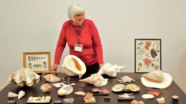 Woman wearing red shirt in front of several large mollusks on a table