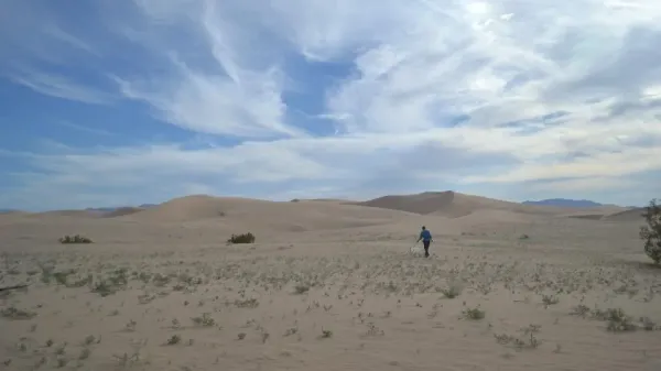 ASU Researcher collecting insects on California Sand Dunes with sky and clouds