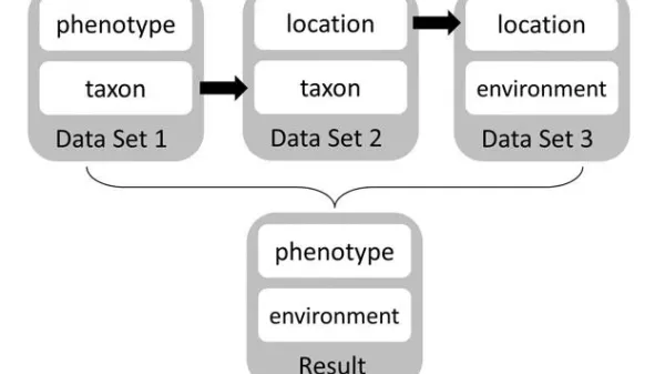 Diagram of phenotypes with data sets and result