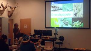 Grasshopper ID Workshop at ASU Biocollections