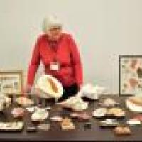 Person in red shirt in front of objects on table