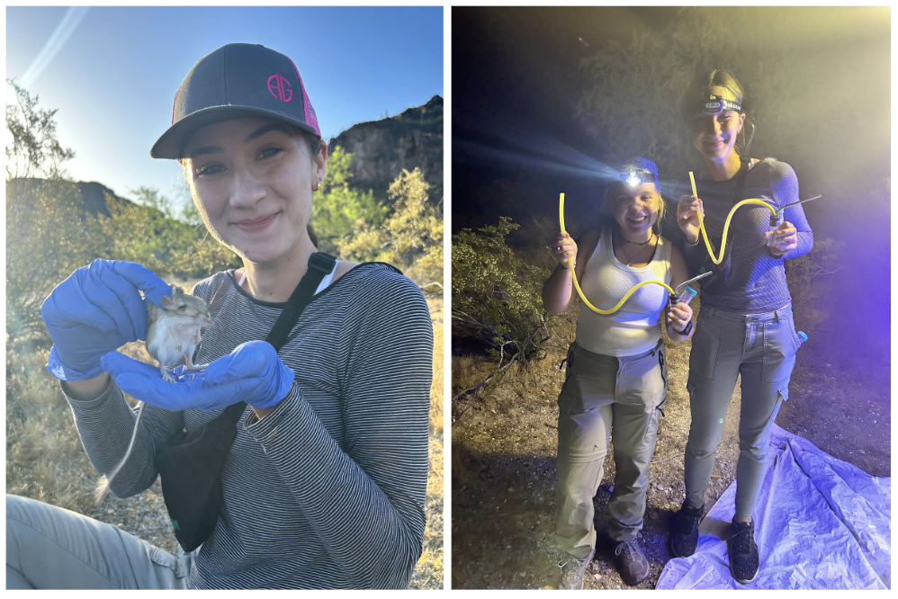 Handling small mammals and capturing insects (Credit: Piper Preuss)